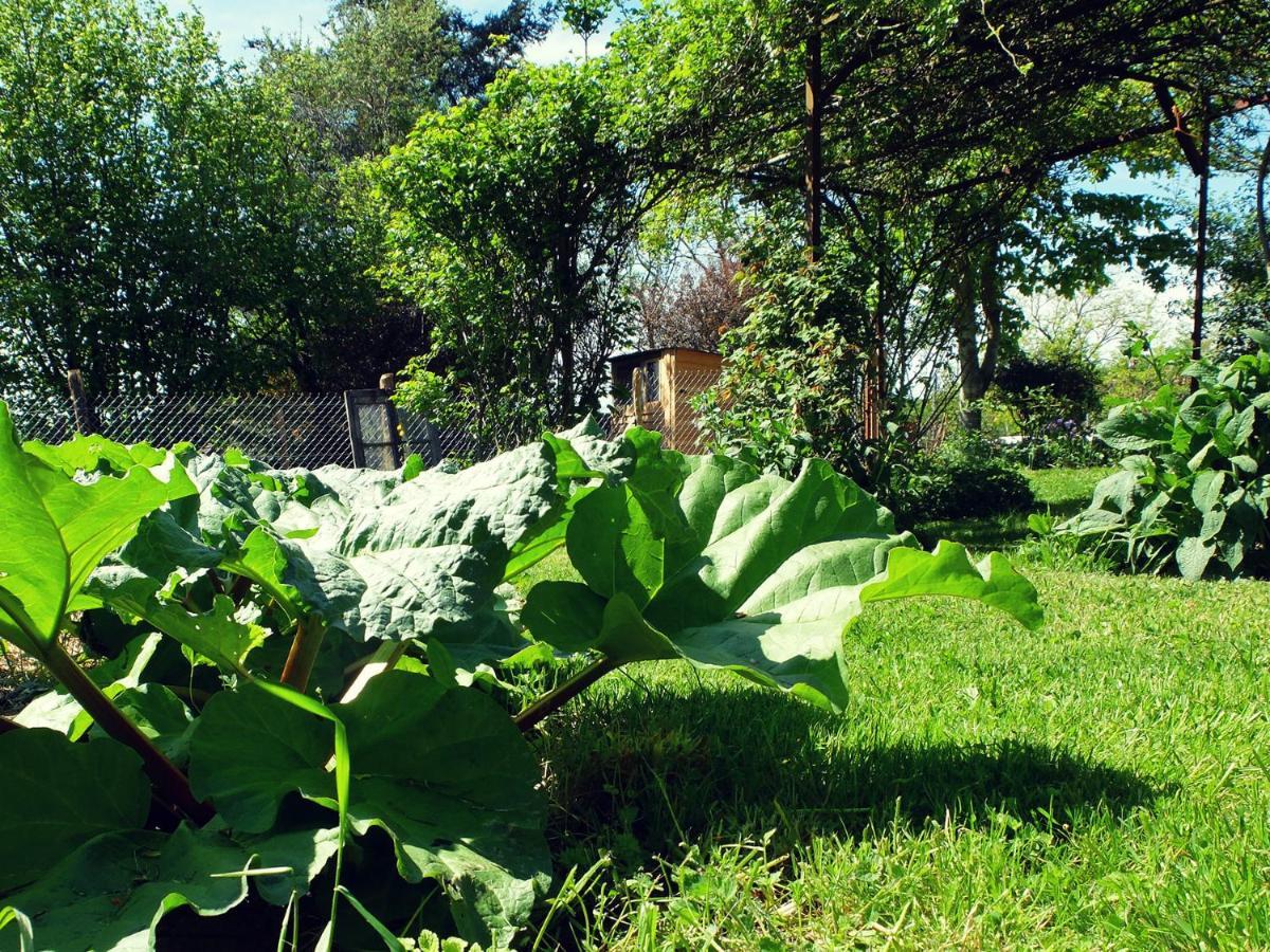 Le The Au Jardin